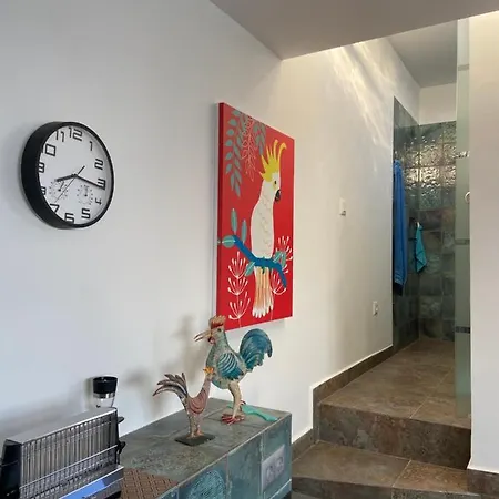 Oasis La Paz - Acaymo Loft - Adults Only - Apartamento Puerto de la Cruz (Tenerife)