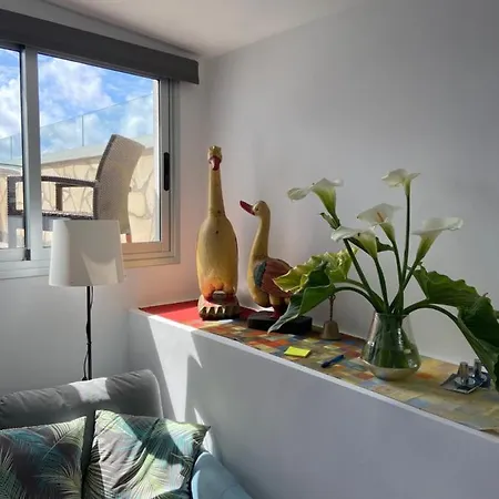 Oasis La Paz - Acaymo Loft - Adults Only - Apartamento